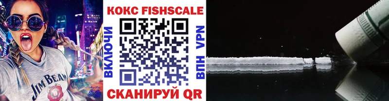 COCAIN FishScale  сколько стоит  Бакал 