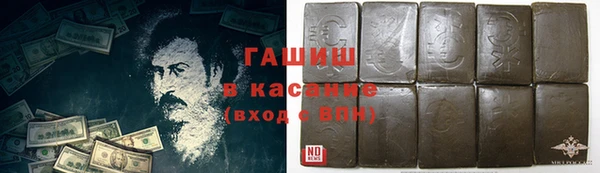 индика Алзамай