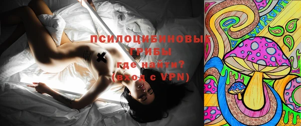 MESCALINE Аркадак