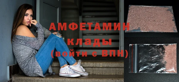 индика Алзамай