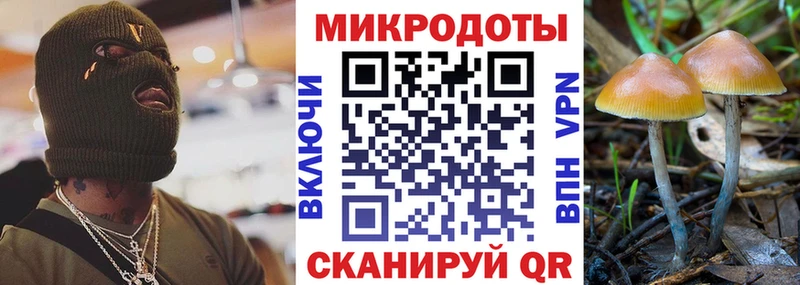 hydra ТОР  Бакал  darknet официальный сайт  где можно купить наркотик  Псилоцибиновые грибы GOLDEN TEACHER 