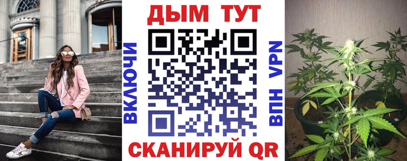наркота Бакал Каннабис марихуана